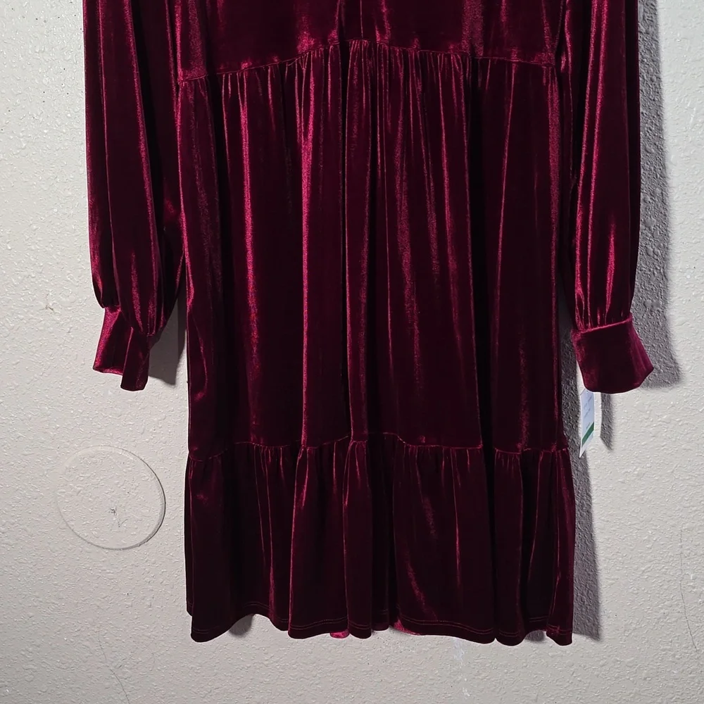 Taylor Elegant Velvet Burgundy Dress - Picture 3 of 9